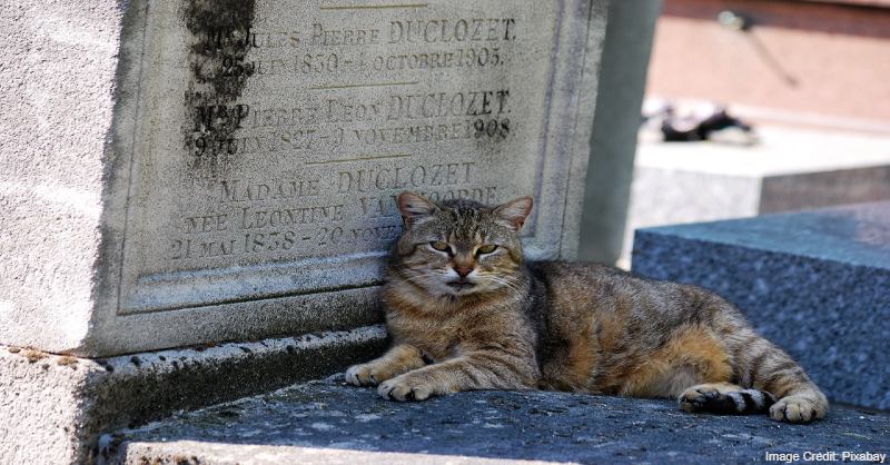 Pet Cemetry, France tourist attractions, Tourist attractions in France, Tourist attractions near me in France