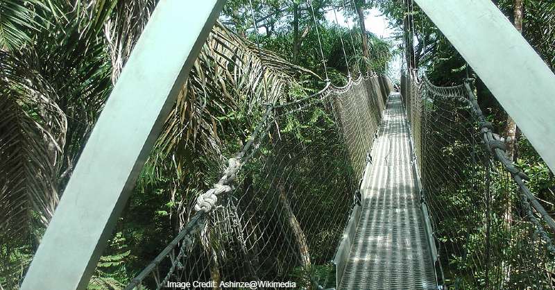 Lekki Conservation Centre, Lagos, Lagos tourist attractions, Tourist attractions in Lagos, Tourist attractions near me in Lagos, Lekki tourist attractions, Tourist attractions in Lekki, Tourist attractions near me in Lekki