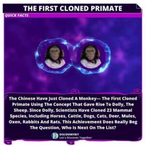 Primate Cloning Breakthrough: Unlocking Nature's Mirror