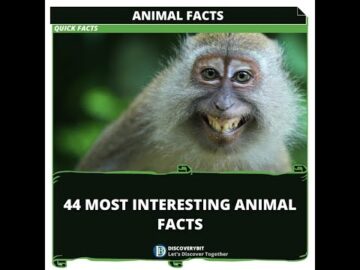44 Most Interesting Animal Facts