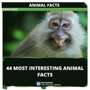 44 Most Interesting Animal Facts