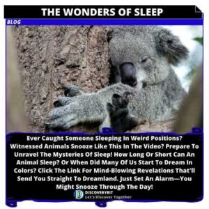 The Most Intriguing Sleep Observations