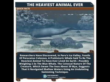 Perucetus Colossus: Earth's Heaviest Giant Ever